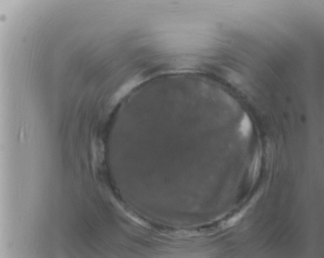 X0000062831449200601271939