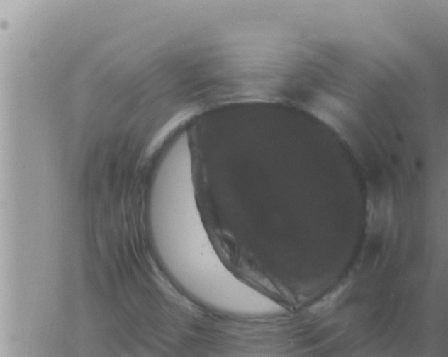 X0000062831450200601271939