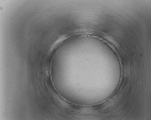 X0000062831451200601271939