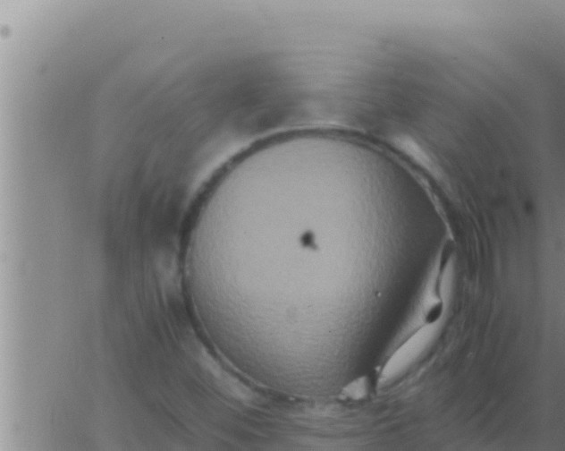 X0000062831452200601271939