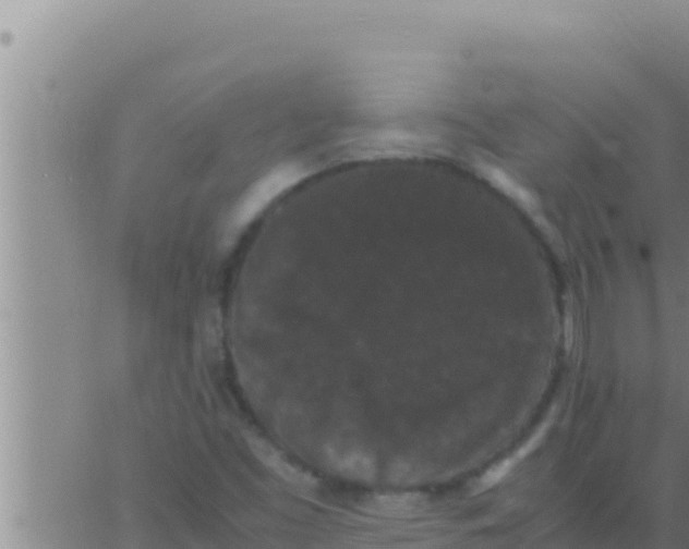 X0000062831453200601271939