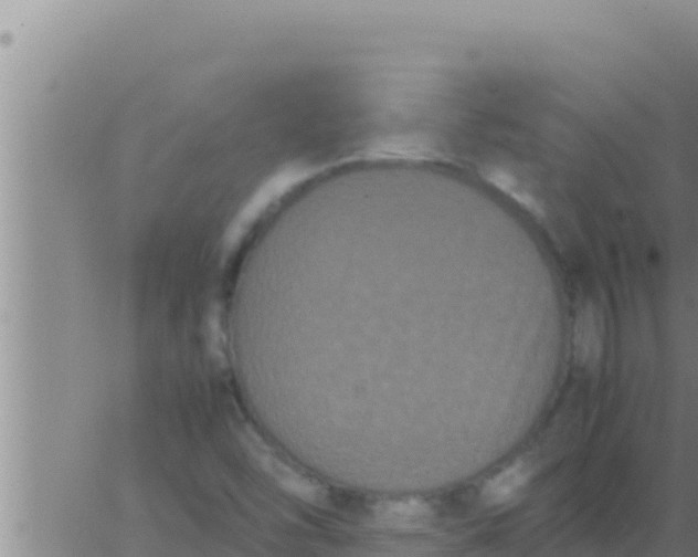 X0000062831454200601271939