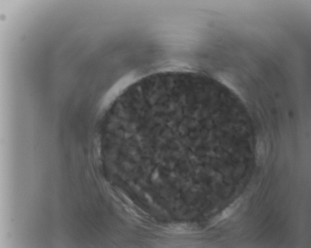 X0000062831455200601271939