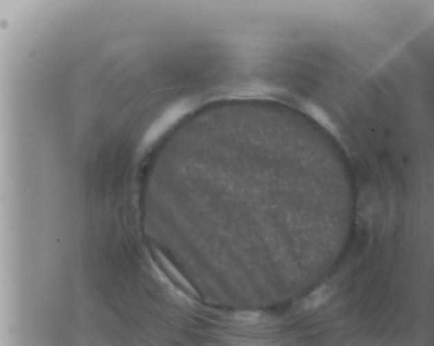 X0000062831456200601271939