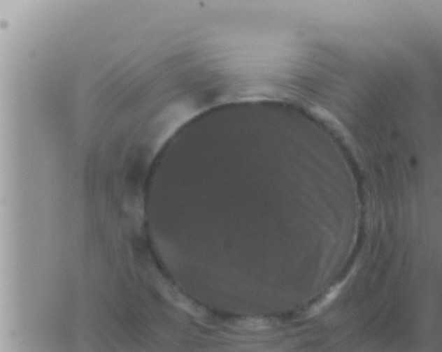 X0000062831457200601271939