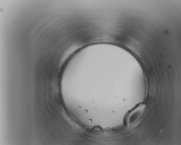 X0000062831458200601271939