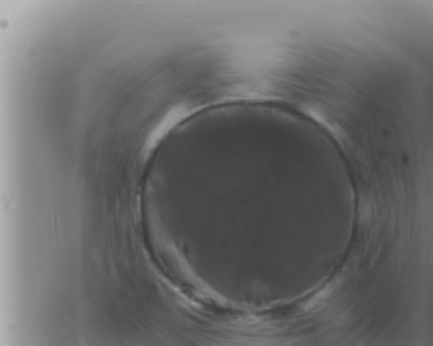 X0000062831459200601271939