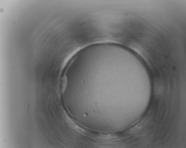 X0000062831460200601271939