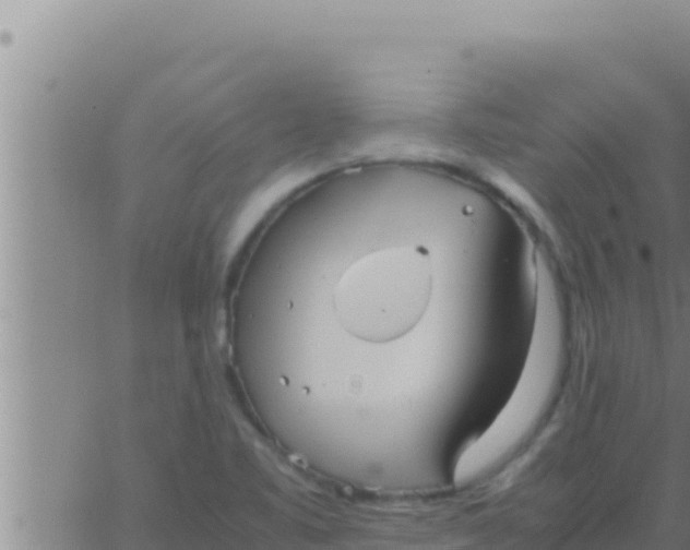 X0000062831461200601271939