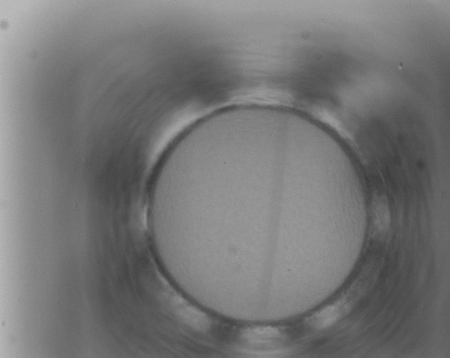 X0000062831462200601271939