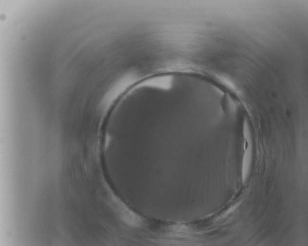 X0000062831463200601271939