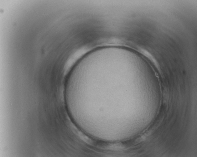 X0000062831464200601271939