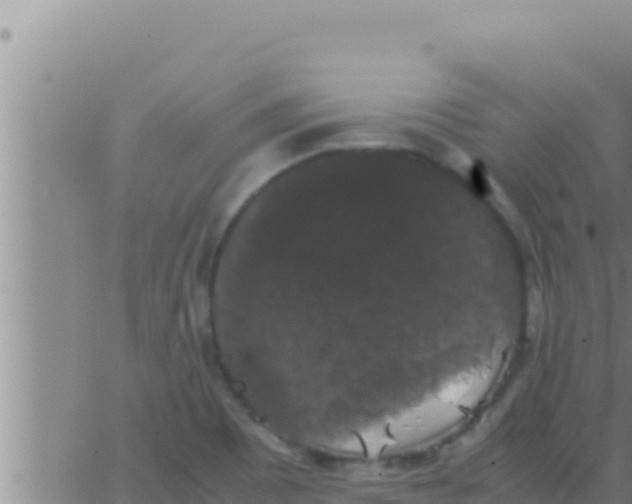 X0000062831465200601271939