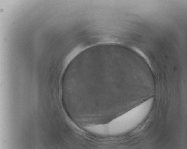 X0000062831467200601271939