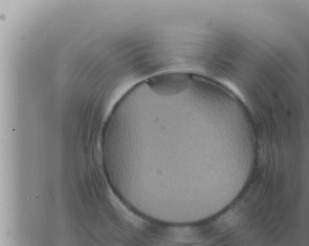 X0000062831468200601271939