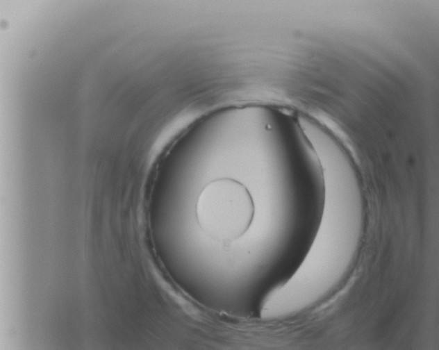 X0000062831469200601271939