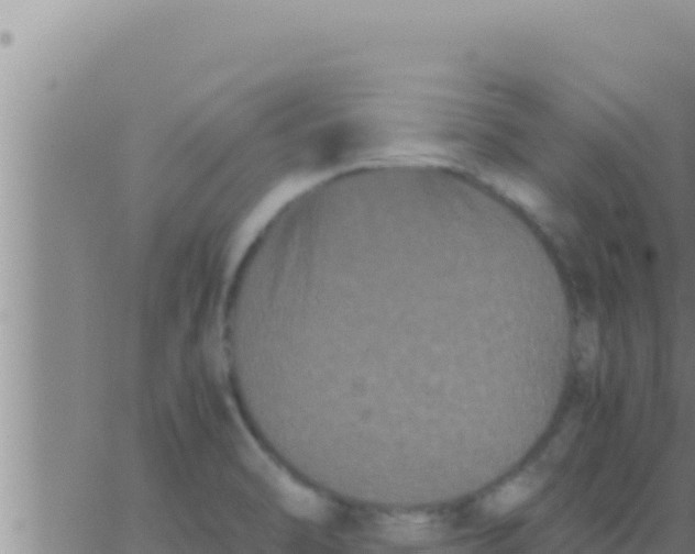 X0000062831470200601271939