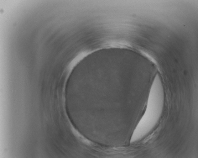 X0000062831471200601271939