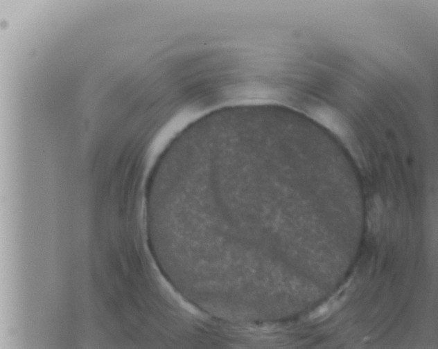 X0000062831472200601271939