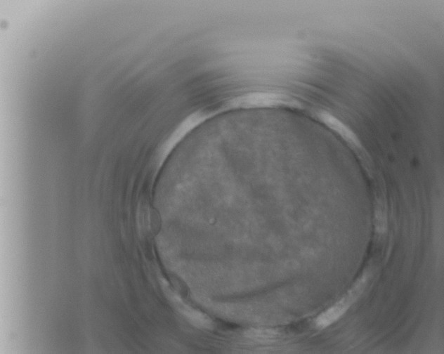 X0000062831473200601271939