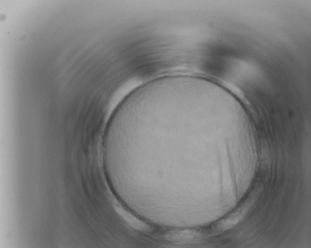 X0000062831474200601271939