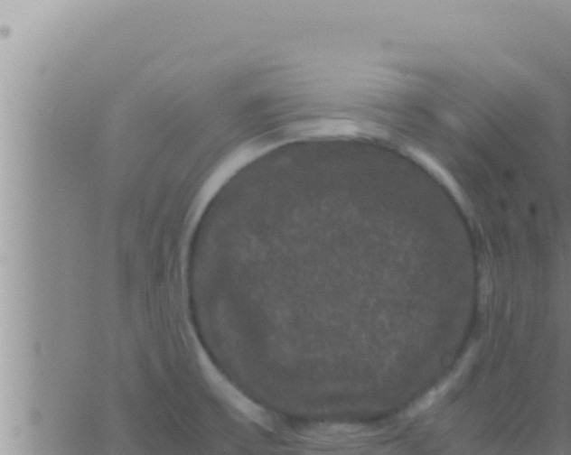 X0000062831475200601271939