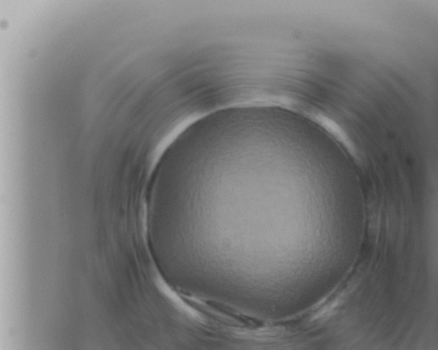 X0000062831476200601271939