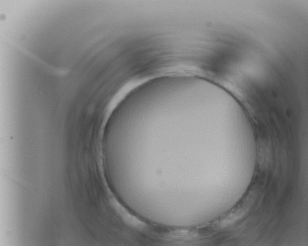 X0000062831478200601271939