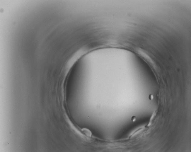 X0000062831479200601271938