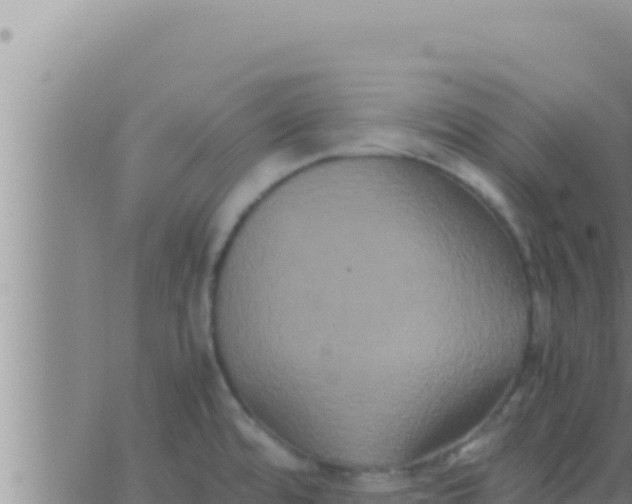 X0000062831480200601271938