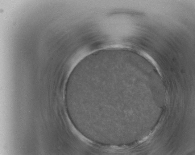 X0000062831483200601271938