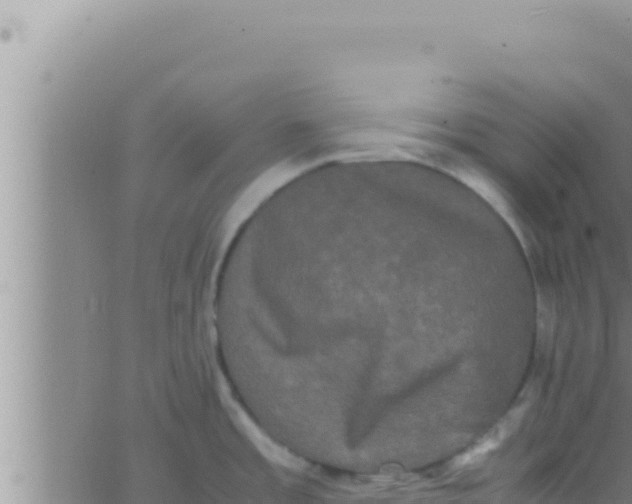 X0000062831485200601271938