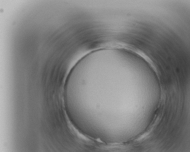 X0000062831486200601271938