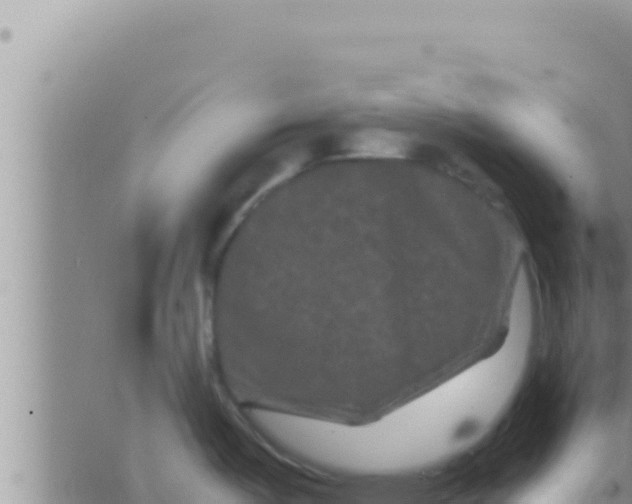 X0000062831487200601271938