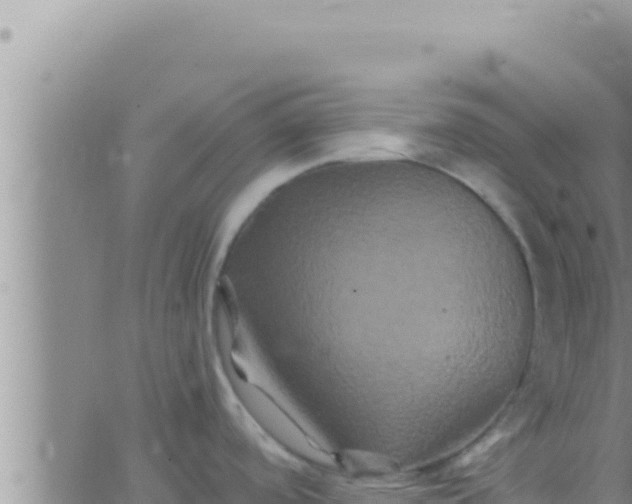 X0000062831488200601271938