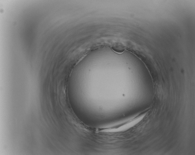 X0000062831489200601271938