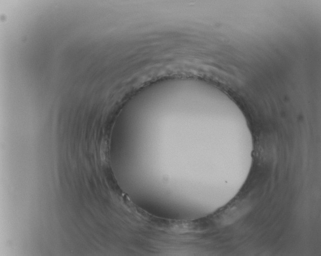 X0000062831490200601271938