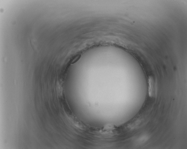 X0000062831491200601271938