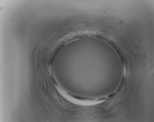 X0000062831492200601271938