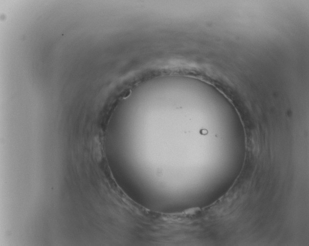 X0000062831493200601271938