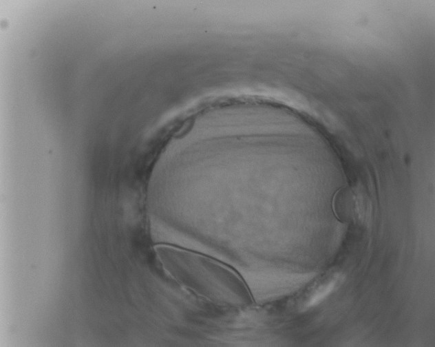 X0000062831494200601271938