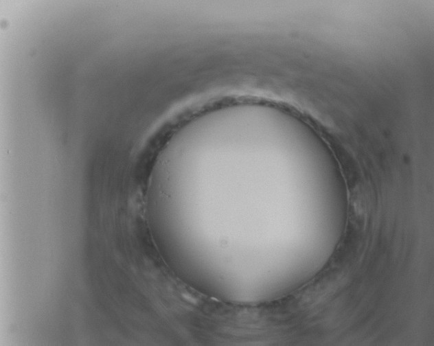 X0000062831495200601271938