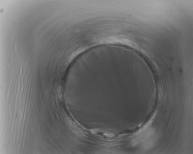 X0000062831497200601271938