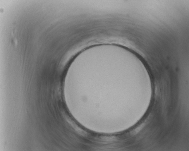 X0000062831498200601271938