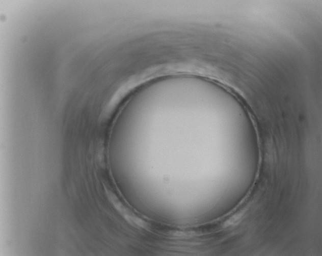 X0000062831499200601271938