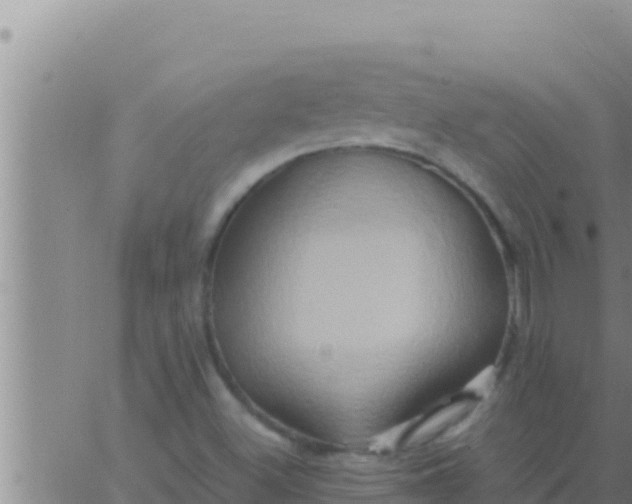 X0000062831500200601271938