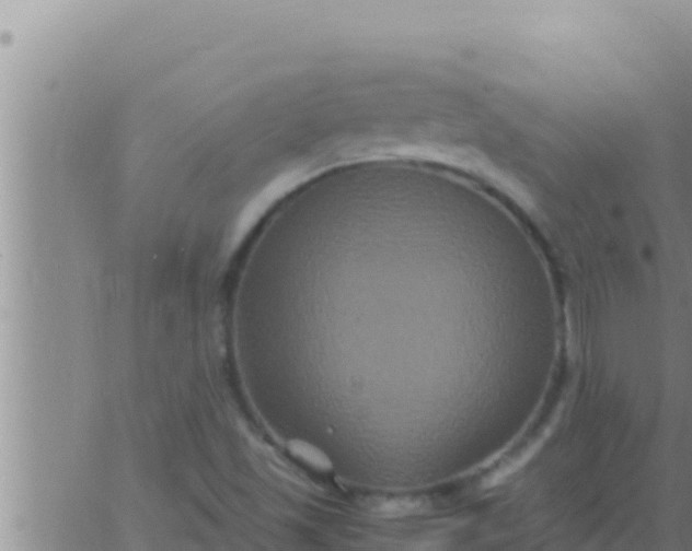 X0000062831501200601271938