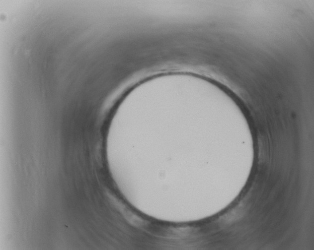 X0000062831502200601271938