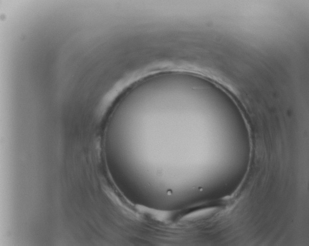 X0000062831503200601271938