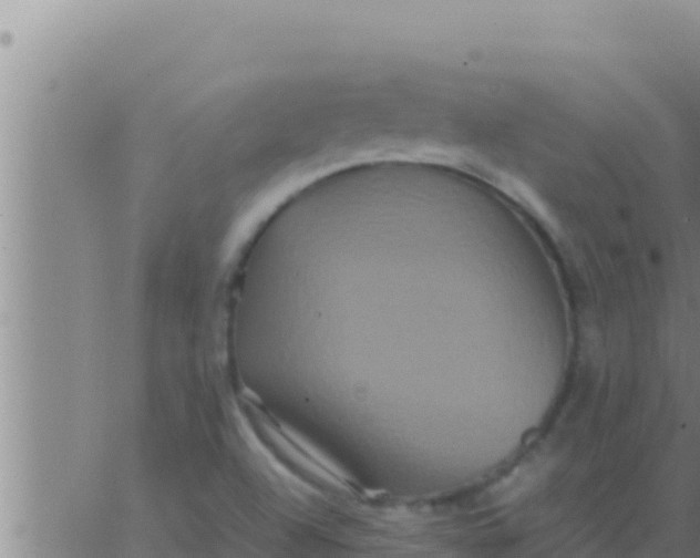 X0000062831504200601271938